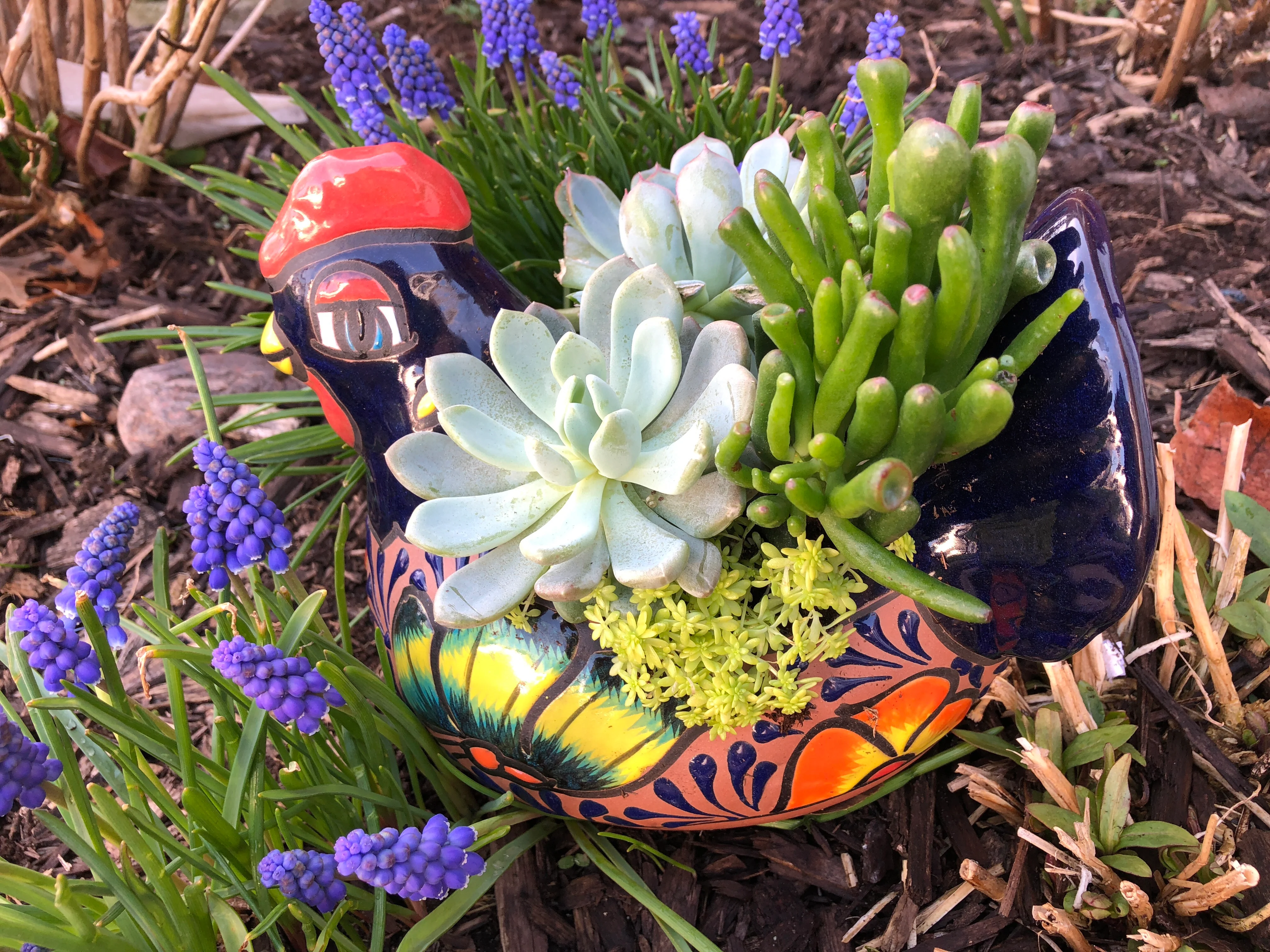 Spring Chicken - Image 3