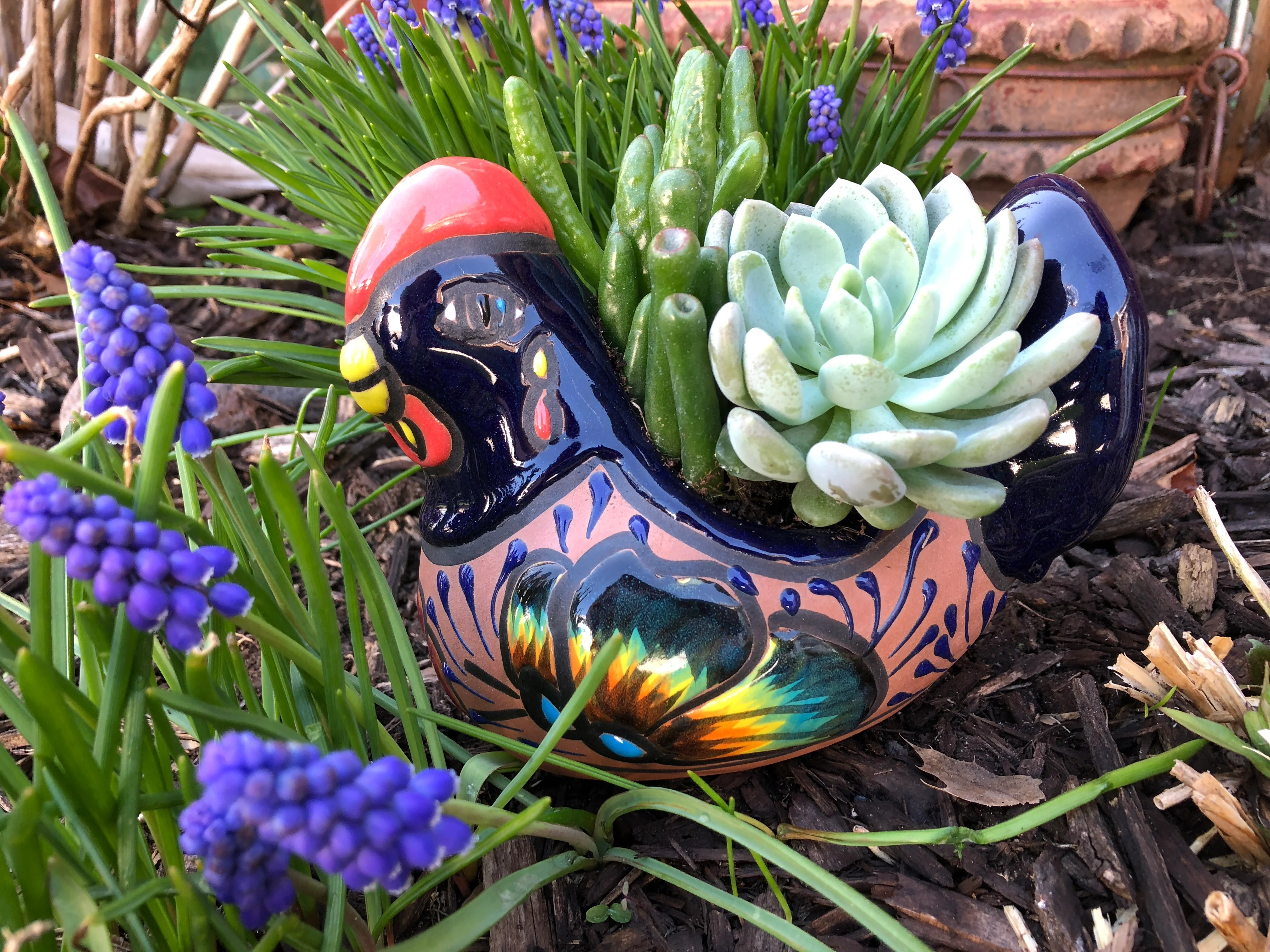 Spring Chicken - Image 4
