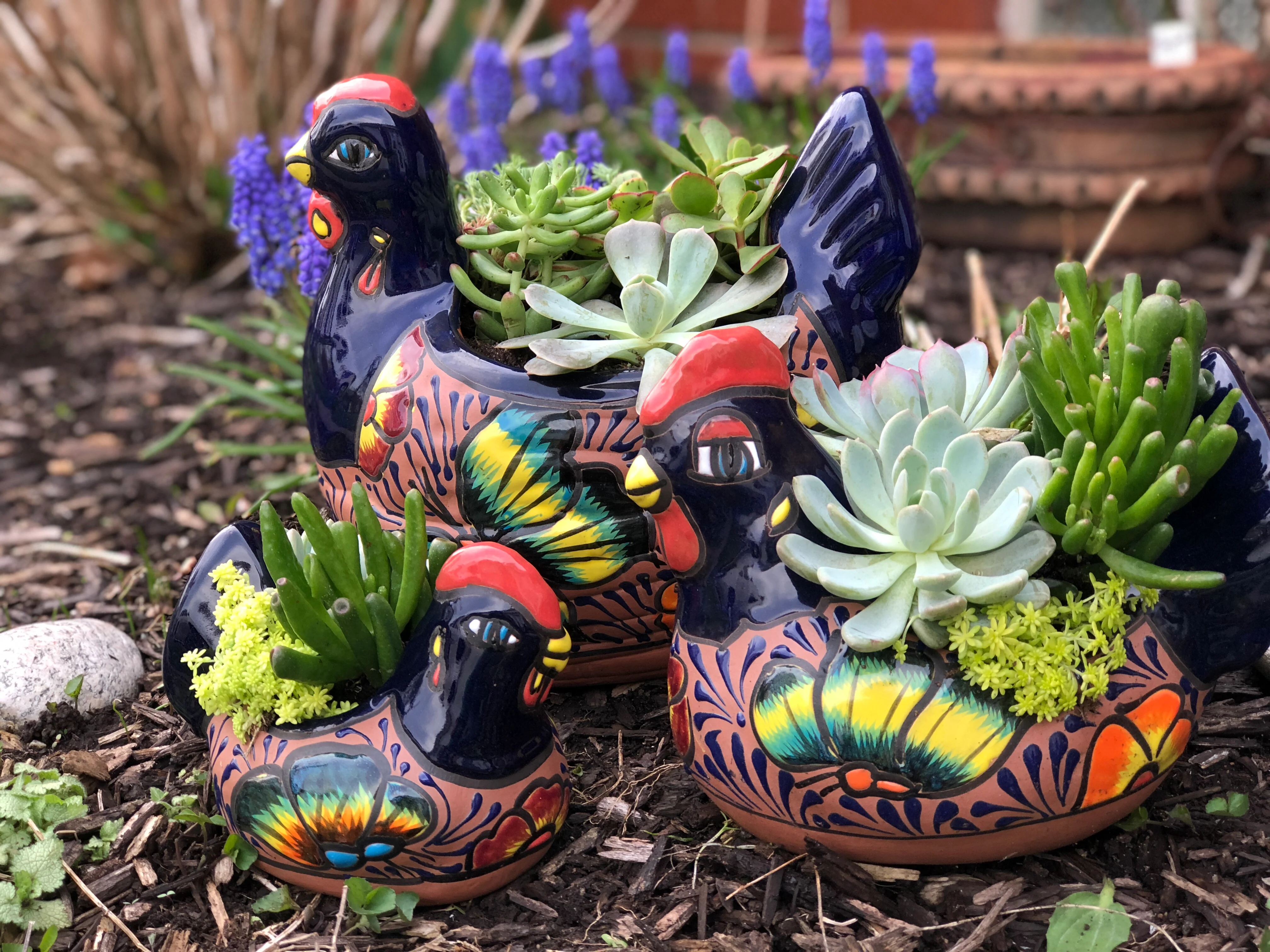 Spring Chicken - Image 7